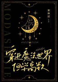 穿进魔法世界，但学高数穿进魔法世界，但学高数